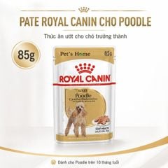 Pate Royal Canin cho Poodle 85g