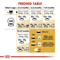 Hạt Royal Canin Persian Kitten 400g