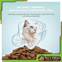 Hạt PetQ C90 – Thức ăn hạt Churro nhân thịt cho mèo mọi lứa tuổi 1kg