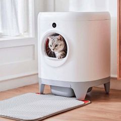 Máy vệ sinh cho mèo PURA X