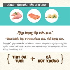 Hạt Natural Core M50 cho chó thịt gà và cá hồi 5kg