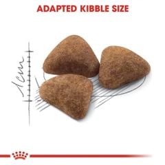 Hạt mèo Royal Canin Indoor 400g