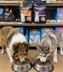 Ganador Puppy Milk with DHA 3kg