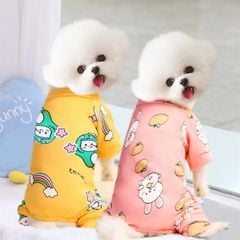 Bộ áo quần bốn chân thỏ trắng/rồng cầu vồng