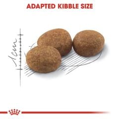 Hạt Royal Canin Sterilised cho mèo triệt sản 400g