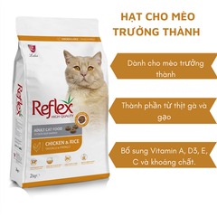 Hạt Reflex Chicken Kitten 2Kg