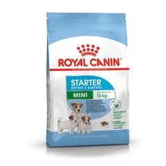 Hạt Royal Canin Mini Starter Mother & Babydog 8kg