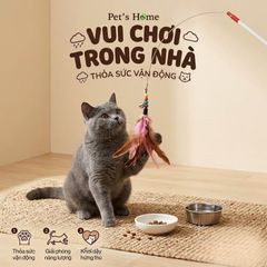 Đồ chơi chuột lông gà - cần câu mèo Cattyman