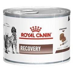 Pate Recovery giúp phục hồi cho chó mèo Royal Canin 195g (Lon)