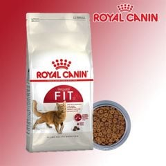 Hạt mèo Royal Canin Fit32 4kg