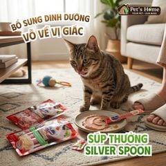 Súp thưởng cho mèo Silver Spoon 56g(4 tuýp)