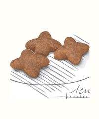Hạt Royal Canin Mini Starter Mother & Babydog 8kg