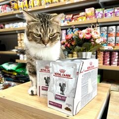 Pate Royal Canin Renal with Fish Feline 85g