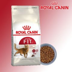 Hạt mèo Royal Canin Fit32 400g