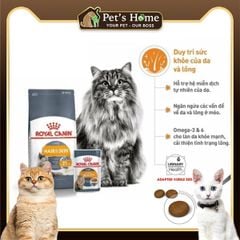 Hạt Royal Canin Hair and Skin Care chăm sóc da lông cho mèo 400g