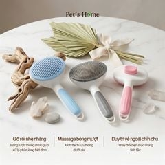 Lược bấm Oval taotaopet