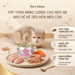 Pate Royal Canin Mother & Babycat cho mèo mẹ và mèo con 195g