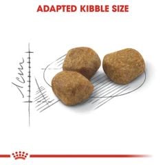 Hạt mèo Royal Canin Fit32 400g