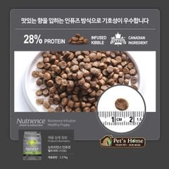 Nutrience Infusion Adult Small Breed 500g