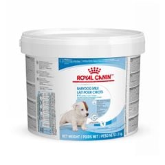 Sữa cho chó con Royal Canin BabyDog Milk