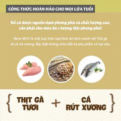 Hạt Natural Core C3 Bene 3012 cho mèo thịt gà và cá hồi 10kg