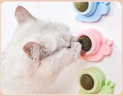 Viên catnip dán tường trái bơ
