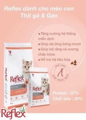 Hạt Reflex Chicken Kitten 2Kg