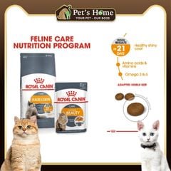 Hạt Royal Canin Hair and Skin Care chăm sóc da lông cho mèo 400g