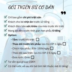 Thiên sứ Chó Cái