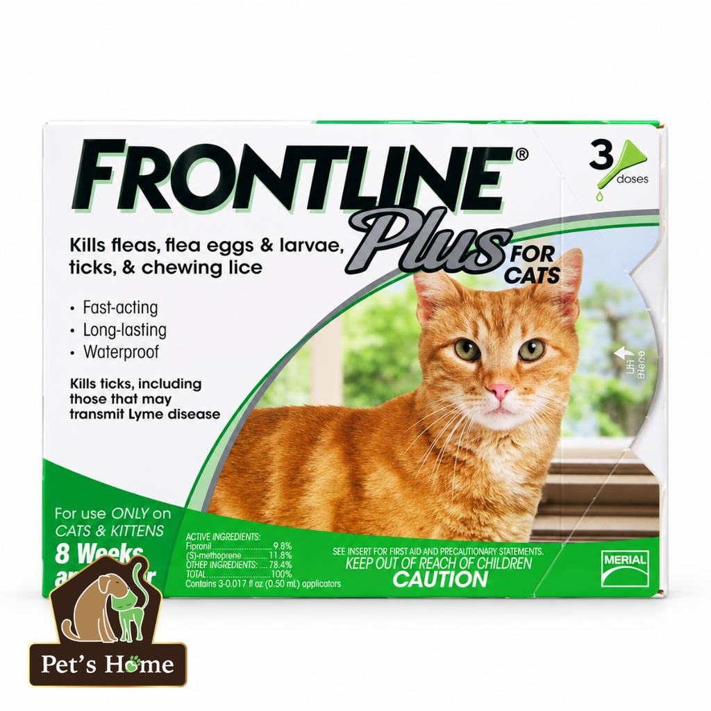 Nhỏ gáy Frontline Plus trị ve rận cho mèo