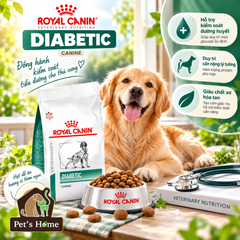 Hạt RC Diabetic hỗ trợ tiểu đường cho CHÓ 1.5kg