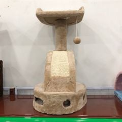 Cây mèo ghế ngồi cầu tuột