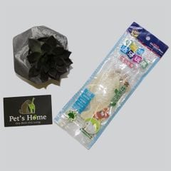 Đồ chơi xơ mướp hình cá trà xanh Doggyman