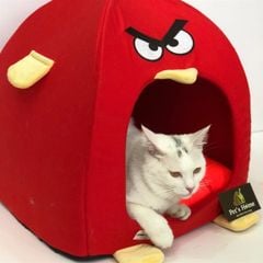 ABC - Nhà Angry Bird