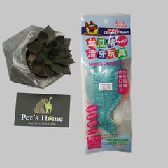 Đồ chơi xơ mướp cá Doggyman