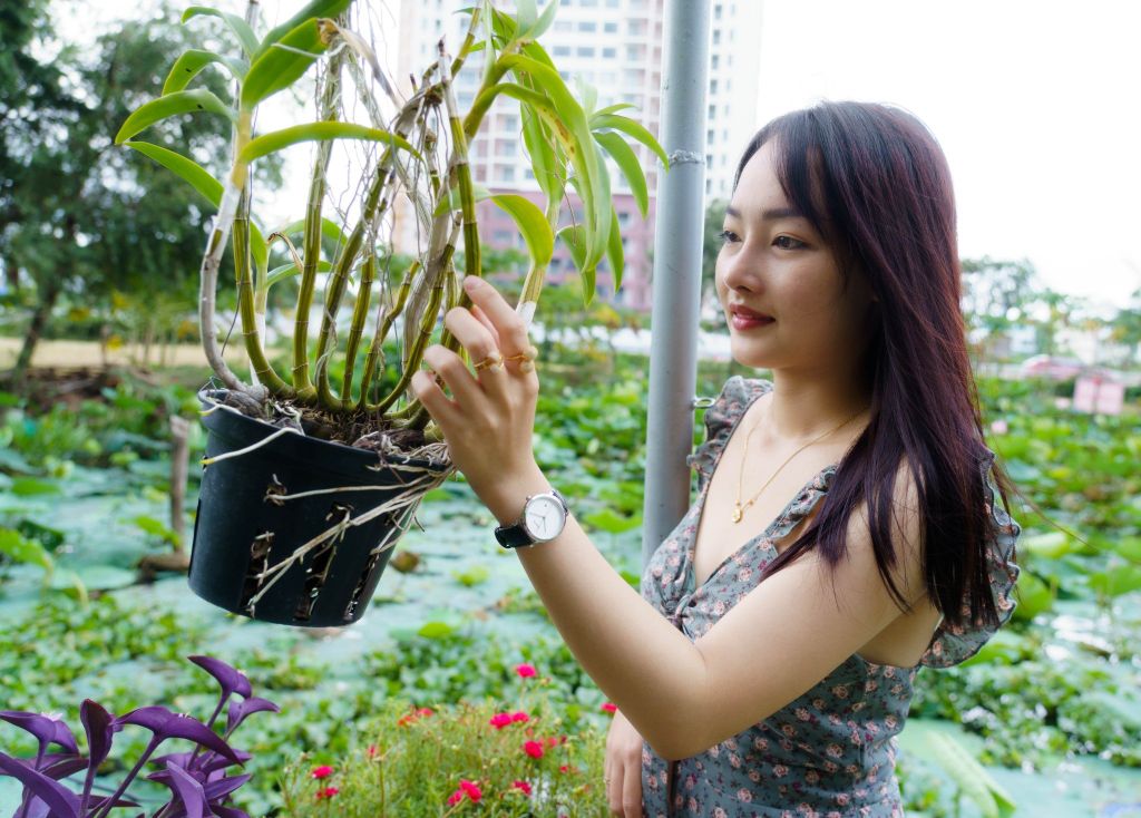 Đồng Hồ Dây Da Nữ Neos N-30888N Sapphire Bảo Hành Chính Hãng