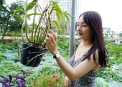 Đồng Hồ Dây Da Nữ Neos N-30888N Sapphire Bảo Hành Chính Hãng