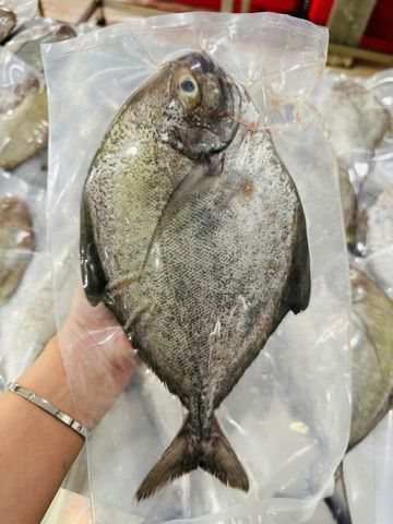  Cá Chim Đen làm sạch (kg) 