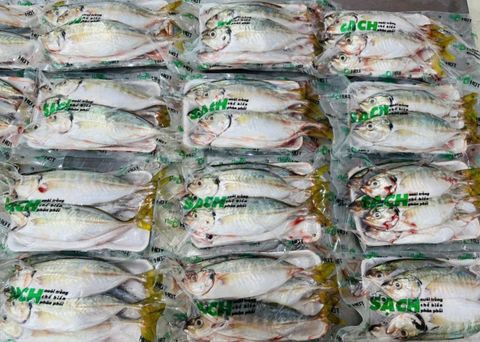  Cá Ngân làm sạch 500g/khay 