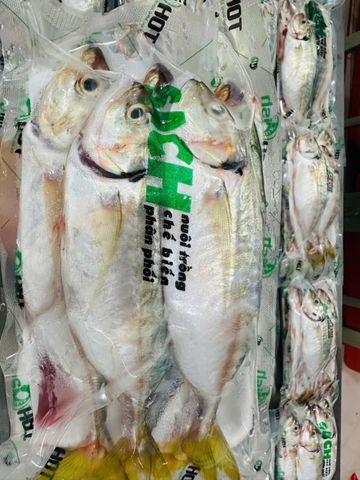  Cá Ngân làm sạch 500g/khay 
