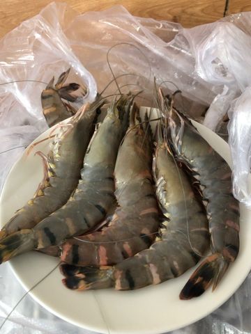  Tôm Sú quảng canh 300g/gói 