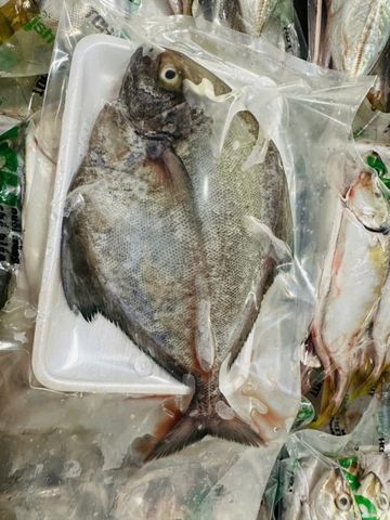  Cá Chim Đen làm sạch (kg) 