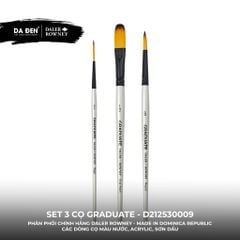 [DA ĐEN] Set 3 Cọ D212530009 Graduate của Daler Rowney - Phù Hợp Màu Nước, Acrylic, Sơn Dầu
