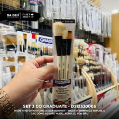 [DA ĐEN] Set 3 Cọ D212530005 Graduate của Daler Rowney Lông Chồn & Sợi Nhân Tạo Tổng Hợp