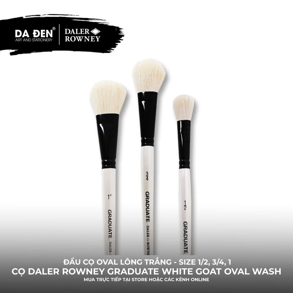 [DA ĐEN] Cọ Oval Tròn To Thân Dài Daler Rowney Graduate White Goat Oval Wash Brush