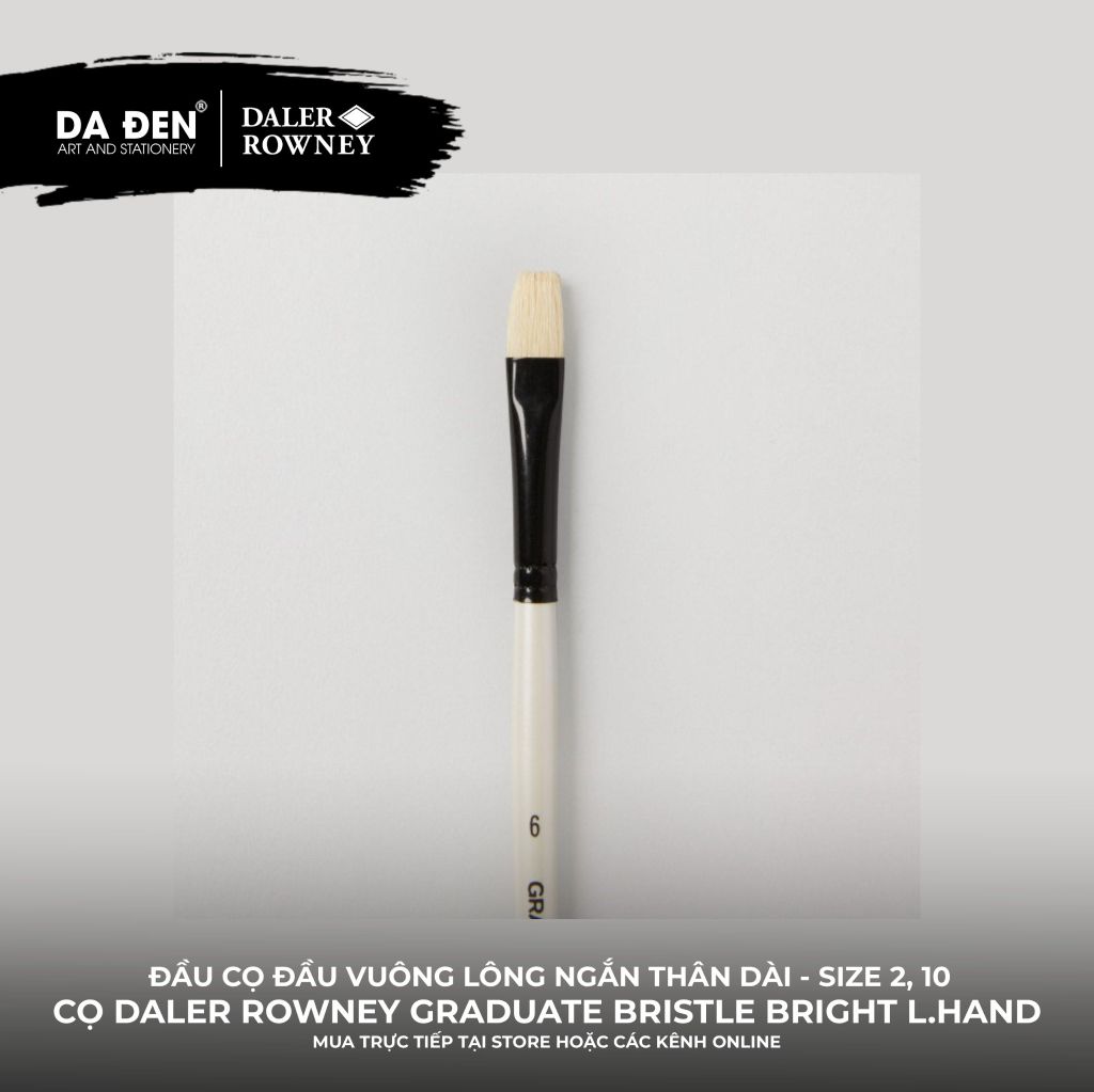 [DA ĐEN] Cọ Vuông Lông Ngắn Thân Dài Daler Rowney Graduate Long Handle Bristle Bright Brush