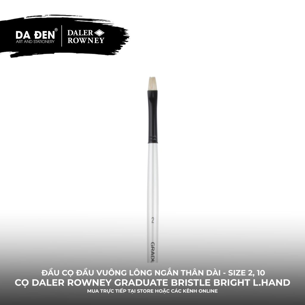 [DA ĐEN] Cọ Vuông Lông Ngắn Thân Dài Daler Rowney Graduate Long Handle Bristle Bright Brush