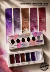 Màu Nước Gansai Tambi Granulation 5 Màu + 1 Free Pan (Set I)