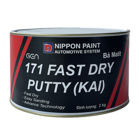  171 Fast Dry Putty 