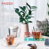 LG-3112611(126).755 - Bộ Tách Thủy Tinh Lucky Curver Cup Glass 315ml | Nhập Khẩu Thái Lan